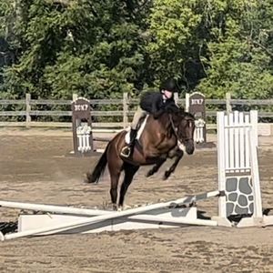 Meet your Posher, Faye